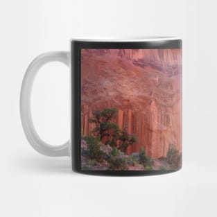 Texture and Grace ~ Capitol Reef, Utah USA Mug